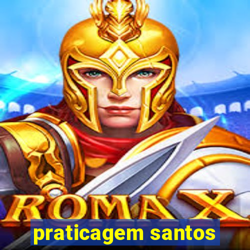 praticagem santos